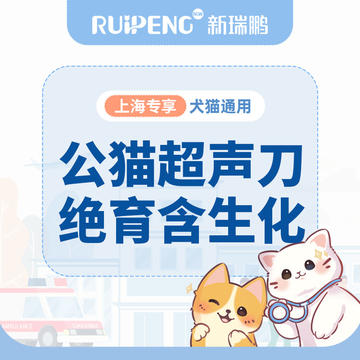 【上海阿闻】犬猫超声刀绝育（含术前生化） 公猫超声刀绝育